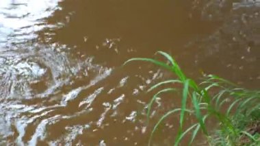 A river flow fast with a brownish water color. The water appears to be murky and has a muddy texture. a warning of a flood or a natural disaster. 