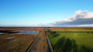 arka plan, doğa, doğal, güzel, yaz, açık hava, yeşil, ağaç, orman, manzara