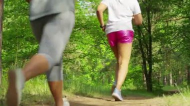 arka plan, doğa, doğal, güzel, yaz, açık hava, yeşil, ağaç, orman, manzara, ışık, güzellik, bitki, tasarım, bahar, yaprak, seyahat, güneş ışığı, renk, çevre, gökyüzü, parlak