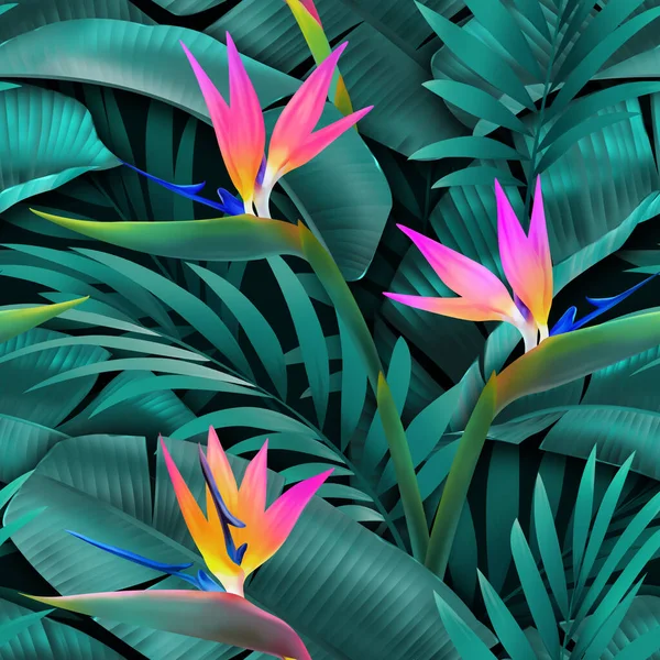 Безшовні Тропічні Візерунки Екзотичні Літні Квіти — стокове фото
