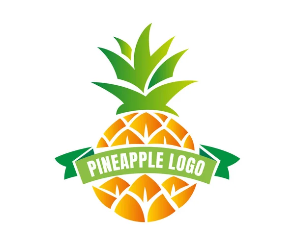 Ananas Logo Symboldesign Vorlagen Elemente Bunte Ananas Tropenfrucht Logo Verwendbar — Stockvektor