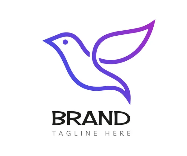 Kuş Logosu Tasarım Şablon Elementleri Markalaşma Logoları Için Kullanılabilir Stok Vektör