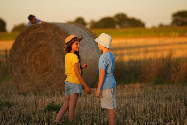 Children talk and joke in a field in nature against the background of a haystack and a forest, children in bright summer clothes have fun in nature, side view