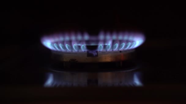 Gas Burner Burns Blue Flame Close Blue Flame Gas Stove — Vídeos de Stock