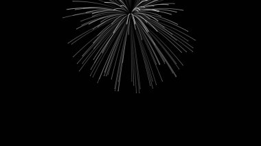 Explosion of fireworks with long falling particles. Abstract festive for advertising, congratulations, text, mother day, Valentine, Christmas. 3D render