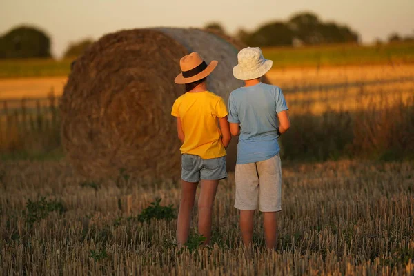 A boy and a girl stand backwards on a summer field in the pre-sunset time. There is a bread field and hay runoff all around. Children admire the view of nature. Healthy childhood and ecologically