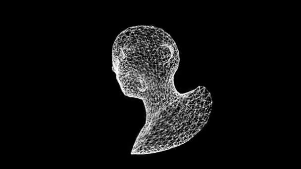 3D女人头模型由线条和圆点组成 旋转3个轴60Fps 科学概念 分子构成的物体 导引影片 演示文稿的摘要说明 3D动画 — 图库视频影像