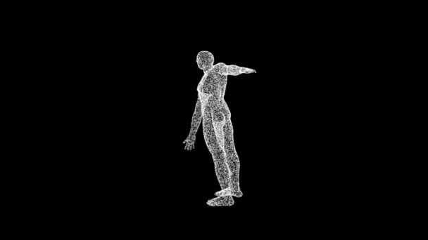 Man Body Model Consisting Particles Dots Rotates Axes Fps Science — Vídeos de Stock