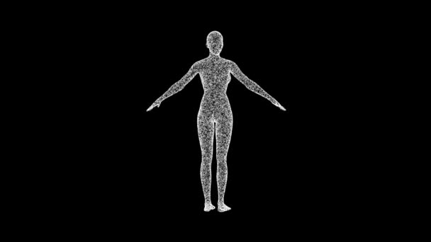 Тело Трехмерной Женщины Состоящее Частиц Точек Вращает Ось Fps Научная — стоковое видео