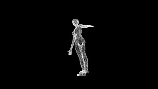 Woman Body Model Consisting Lines Dots Rotates Axes Fps Science — Vídeo de Stock