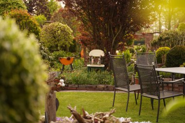 A blooming green garden filled with decorative decorations, it has a table and wicker chairs. Sunny day in the garden. Garden design and decoration. Selective focus. Outdoor recreation. Eco-friendly garden.