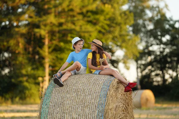 Children hugged and discussed something sitting on a haystack in the field, cheerful holidays of Ukrainian children, happy childhood without war, safety of children on vacations