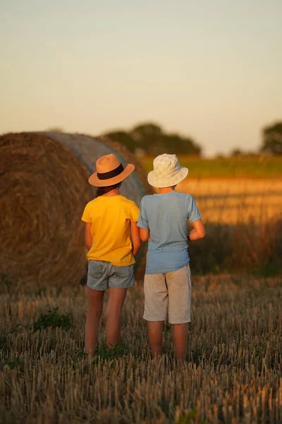 Two children stand backwards to the camera, they are wearing T-shirts of the colors of the flag of Ukraine. There is a bread field and hay runoff all around. Children admire the view of nature. Healthy childhood and ecologically clean nature