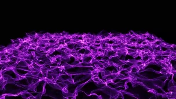 Dot Purple Wave Line Light Gradient Dark Background Abstract Technology — Stockvideo