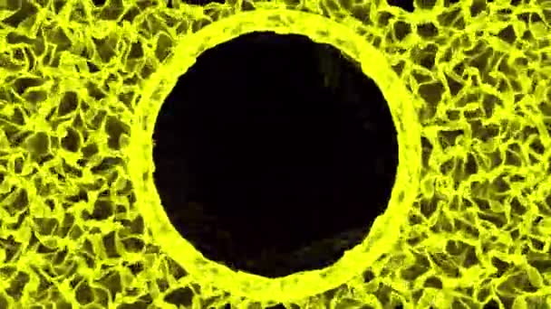 Hot Flaming Circle Ember Explosive Colored Gases Flames Black Background — Stockvideo