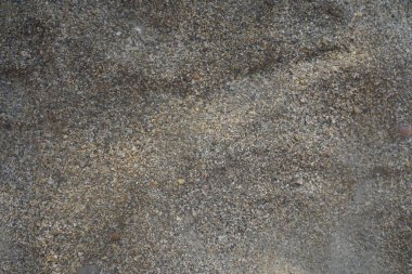 Small sea pebbles background, sea backdrop. Texture of the sea beach
