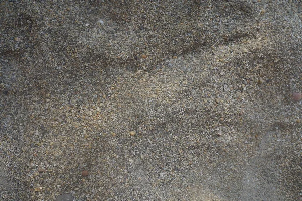 Small sea pebbles background, sea backdrop. Texture of the sea beach