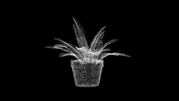 Pot Flower Rotates Black Object Dissolved White Flickering Particles Fps — Vídeo de Stock