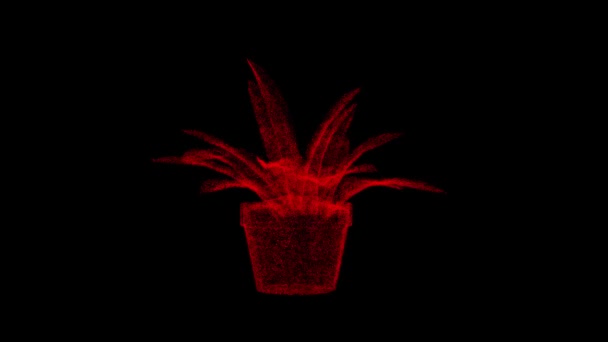 Olla Con Flor Gira Negro Objeto Disuelto Partículas Rojas Parpadeantes — Vídeos de Stock