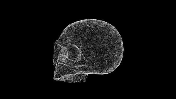 3D骷髅在黑色Bg上旋转 物体溶解了60 Fps的白色闪烁粒子 商业背景 科学概念 摘要标题 全息屏幕保护程序 3D动画 — 图库视频影像