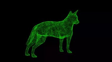 3D köpek siyah bg üzerinde dönüyor. Nesne çözünmüş yeşil parçacıklar 60 FPS. İş için reklam arkaplanı. Bilim konsepti. Başlık, metin, sunum için. 3 Boyutlu Canlandırma.