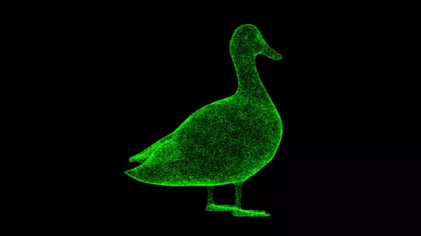 Ente Rotiert Auf Schwarzem Objekt Löste Grün Flackernde Teilchen Fps — Stockvideo