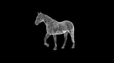 3D at siyah bg üzerinde dönüyor. Nesne erimiş beyaz parçacıklar 60 FPS. İş için reklam arkaplanı. Bilim konsepti. Başlık, metin, sunum için. 3 Boyutlu Canlandırma