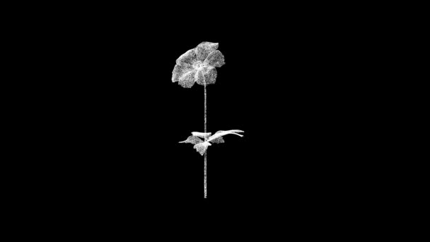 Çiçek Siyah Üzerinde Döner Nesne Erimiş Beyaz Parçacıklar Fps Için — Stok video