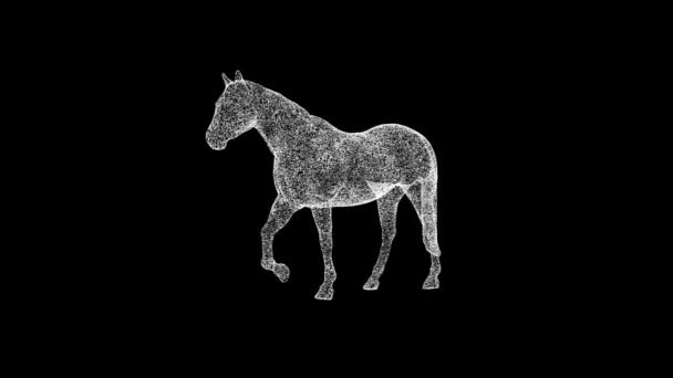Paard Draait Zwart Object Opgelost Wit Flikkerende Deeltjes Fps Zakelijke — Stockvideo