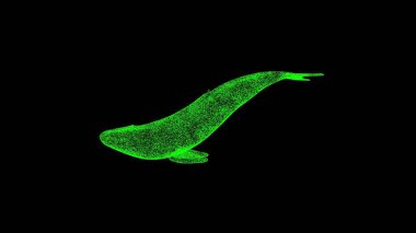 3D whale on black bg. Object dissolved green flickering particles. Business advertising backdrop. Science concept. For title, text, presentation. 3D animation
