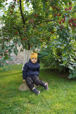 A cute boy of 4 years old sits on a large stone on the lawn under a tree with dwarf apples and rests.