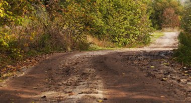 Country dirty road through the forest in autumn
