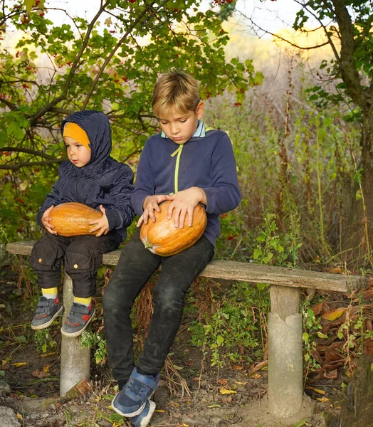 Kinderen Zitten Een Bankje Met Pompoenen Bereiden Zich Voor Halloween — Stockfoto