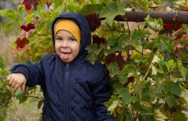 Dilini bahçede dışarı çıkaran bir çocuk.