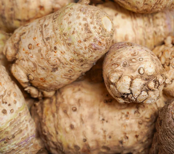 Celery roots background. Ecologically pure products of plant origin. Vegetable background. Selective focus
