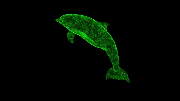 Δελφίνι Περιστρέφεται Μαύρο Αντικείμενο Διαλυμένο Πράσινο Τρεμοπαίζει Σωματίδια Fps Επαγγελματικό — Αρχείο Βίντεο