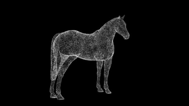 Horse Rotates Black Object Dissolved White Flickering Particles Fps Business — Stock Video