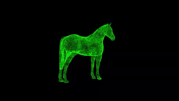 Paard Draait Zwart Object Opgelost Groen Flikkerende Deeltjes Fps Zakelijke — Stockvideo