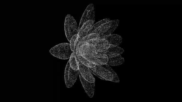 Boyutlu Nilüfer Çiçeği Siyah Üzerinde Döner Nesne Erimiş Beyaz Parçacıklar — Stok video