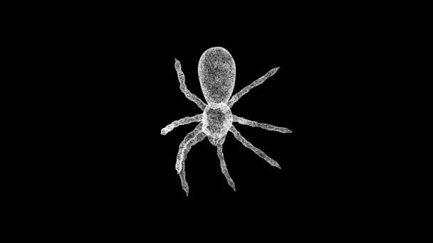 Boyutlu Örümcek Siyah Üzerinde Döner Nesne Erimiş Beyaz Parçacıklar Fps — Stok video