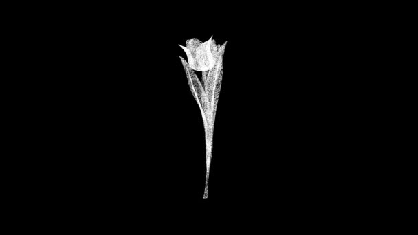 3D郁金香花在黑色的枝叶上旋转 物体溶解了60 Fps的白色闪烁粒子 商业广告背景 科学概念 3D动画 — 图库视频影像
