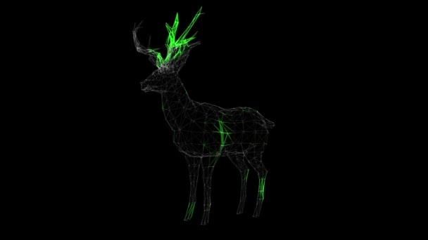 在黑色背景下 通过3D鹿体旋转传播抗病毒 说明如何治疗动物体内的病毒 医学概念 动物尸体的扫描和处理 3D动画 — 图库视频影像