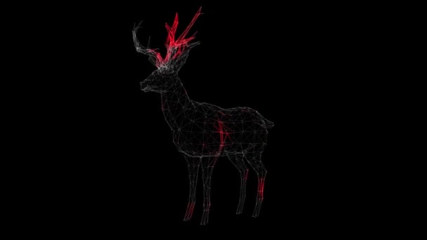 病毒在黑色背景下通过大小不一的鹿体传播 动物体内病毒的视觉演示 医学概念 3D动画 — 图库视频影像