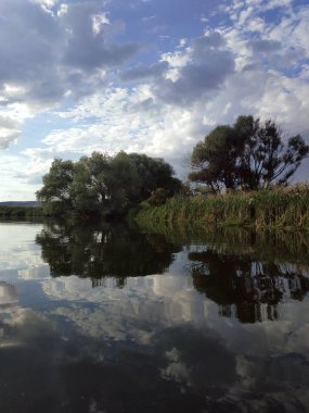 the deep river carries calm waters past the picturesque river bank. Copy space, blurred background, vertical orientation. Selective focus.