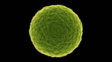Siyah arkaplanda 3 boyutlu sarı virüs izole edilmiş. 3B görüntüleme.