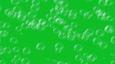 3D büyük kabarcıklar yeşil ekranda sürekli yükseliyor. 60FPS. Reklamcılık, tebrik, mesaj, anneler günü, sevgililer günü, Noel, doğum günü için soyut bir festival geçmişi. 3 Boyutlu Canlandırma