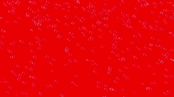 Bubblor Stiger Ständigt Upp Röd Bakgrund 60Fps Abstrakt Festlig Bakgrund — Stockvideo