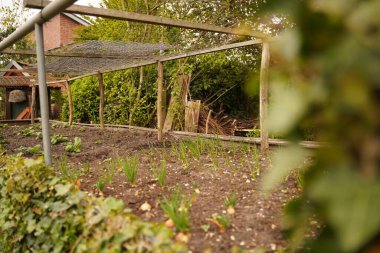 Halk mutfak bahçesi. Sebze topluluk bahçesinde bitkiler ile yükseltilmiş bahçe yatakları. Çocuklar için bahçe dersleri.