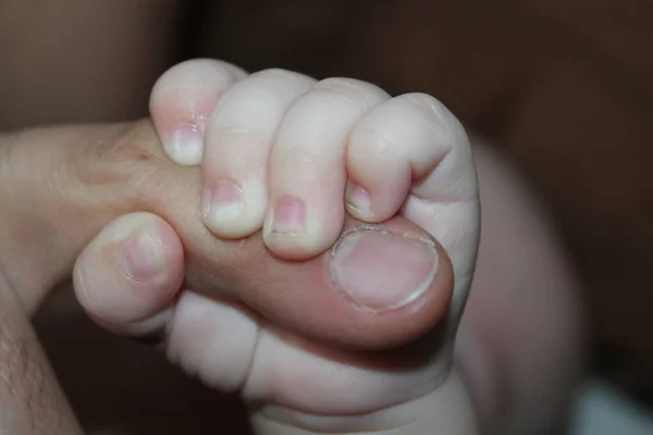 Pequeño Bebé Recién Nacido Mano Apretando Dedo Papá — Foto de Stock