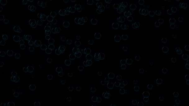 Блакитні Бульбашки Постійно Піднімаються Чорному Тлі 60Fps Абстрактне Святкове Тло — стокове відео